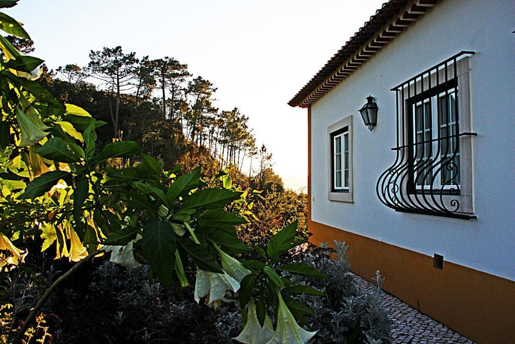 Quinta Da Torre - Obidos Country House Exterior photo